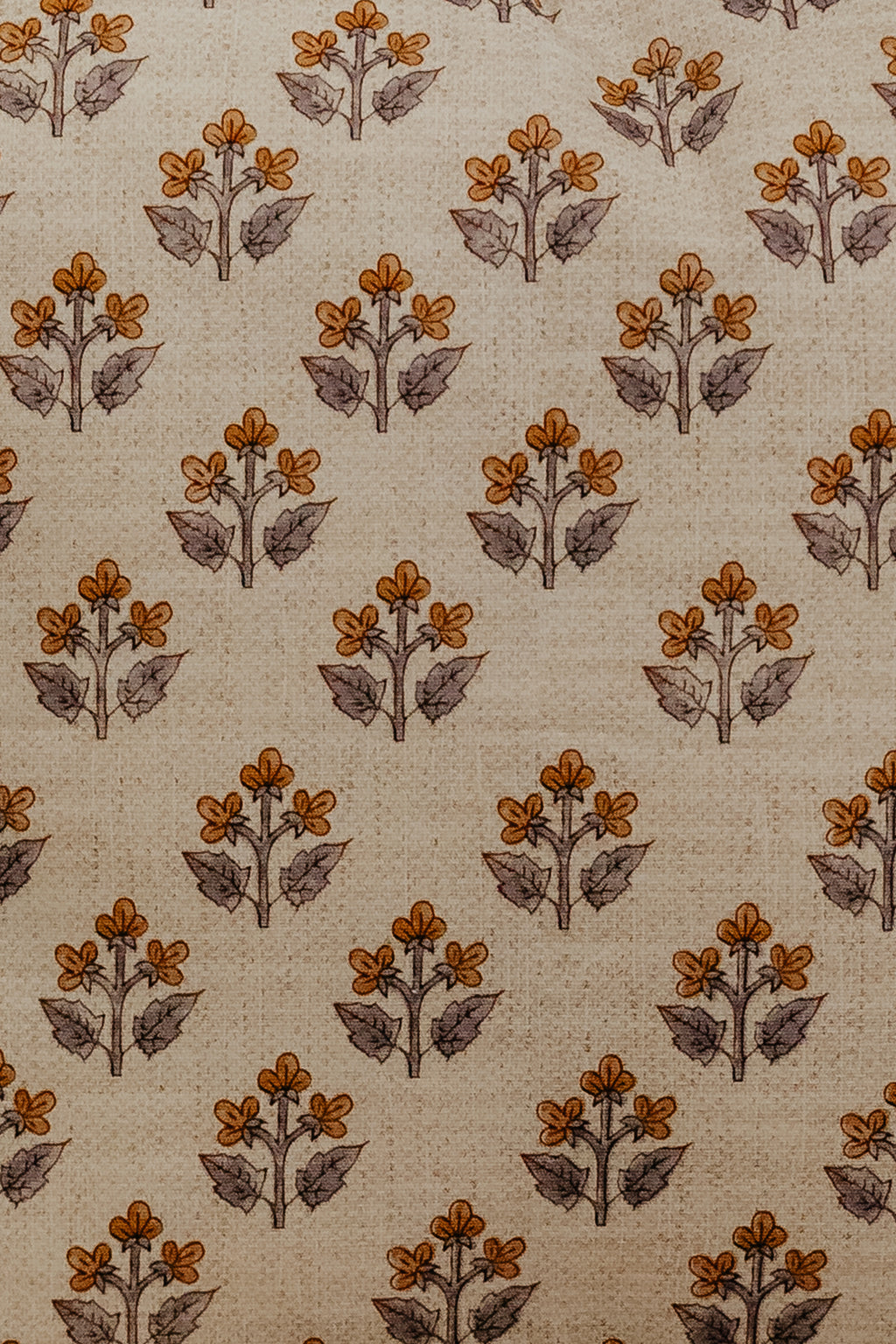 Country Bloom